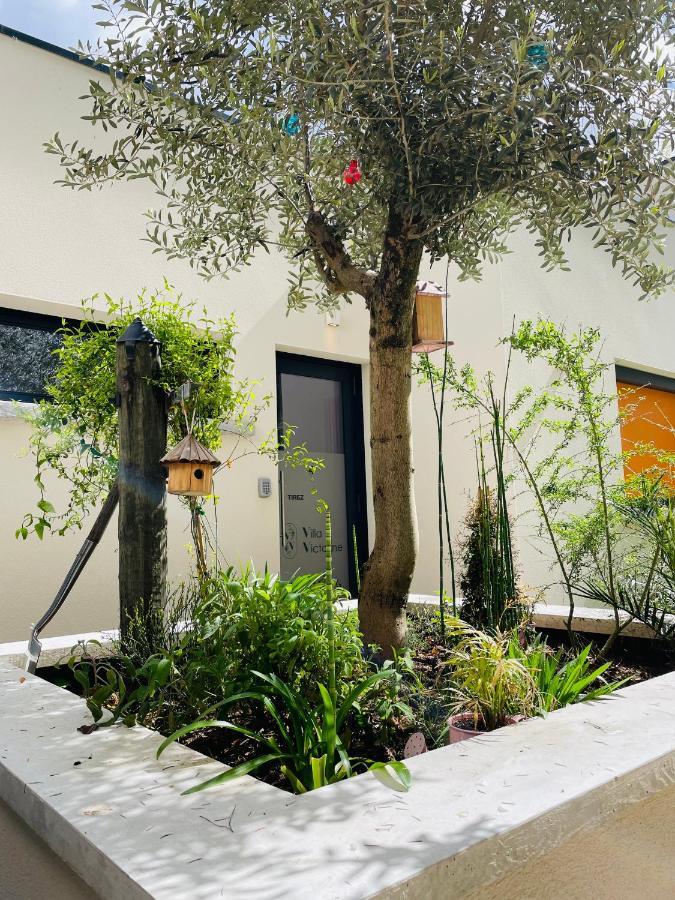 Victorine * Nogent-sur-Seine